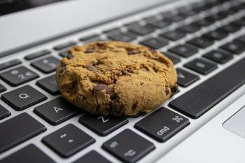 Sn1ck3rd00dles and Security – A Look at Internet Cookies